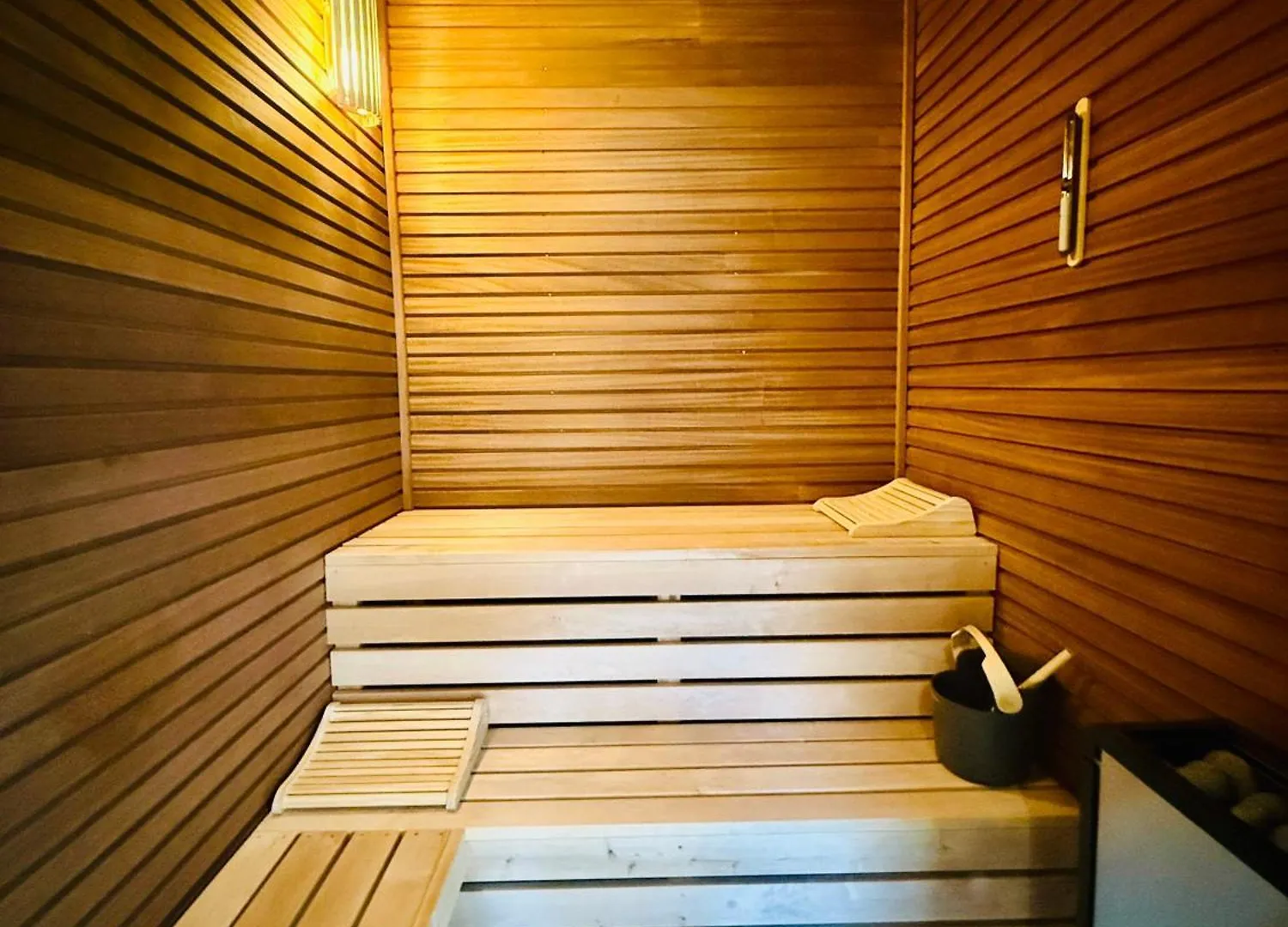 Chalet Monarch Luxury And Nature Araches-la-Frasse France